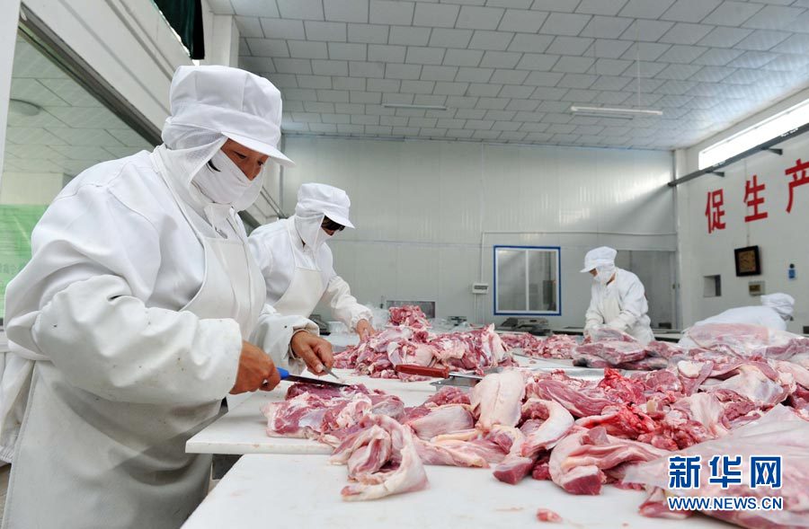 宁夏盐池滩羊:打造农民增收的支柱型产业