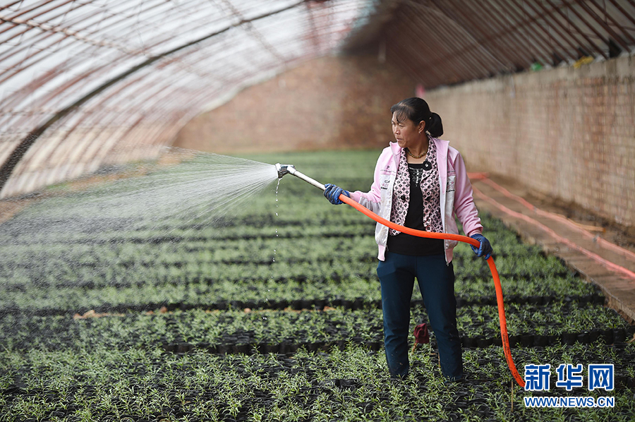 来自扶贫攻坚现场的调查报告(下)