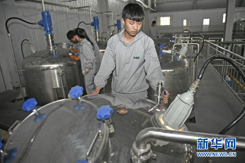 宁夏首家原花青素生产企业正式投产_图片中心