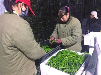 贺兰蔬菜“会说话”热销北上广