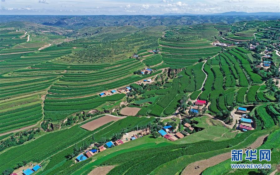 （宁夏60年·图文互动）（5）六盘山下听雨声