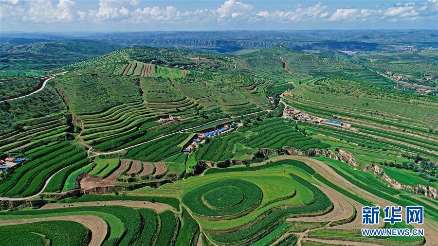 （宁夏60年·图文互动）（7）六盘山下听雨声