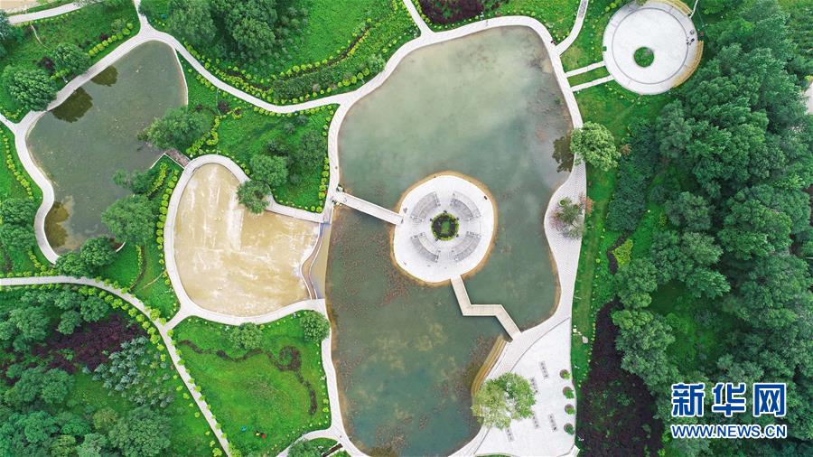 （宁夏60年·图文互动）（9）六盘山下听雨声