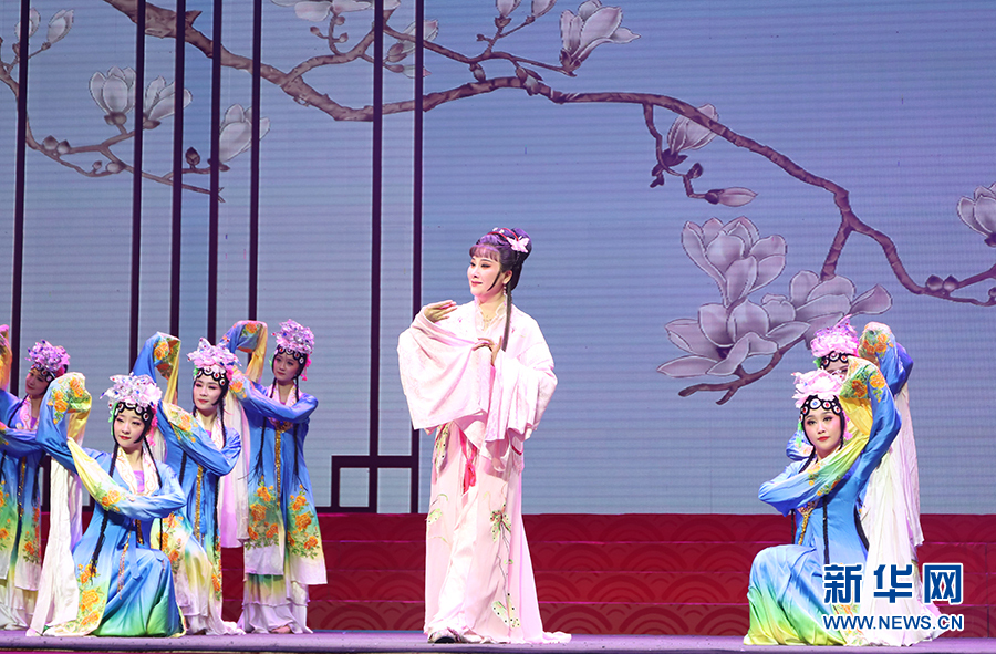 首届宁夏新年戏曲晚会在银川举办