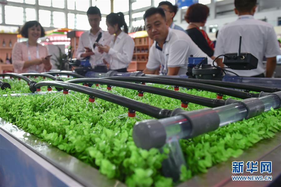 （科技）（7）高新技术与装备展亮相中阿博览会