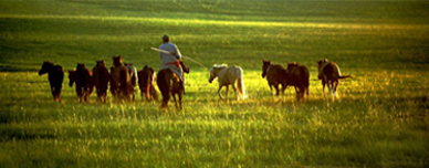盐州大草原 秘境哈巴湖