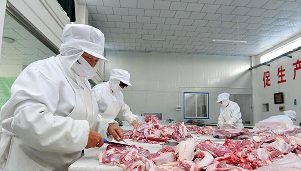 盐池 中国滩羊之乡_新华网宁夏频道