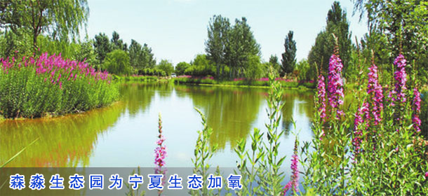 森淼生态园为宁夏生态加氧