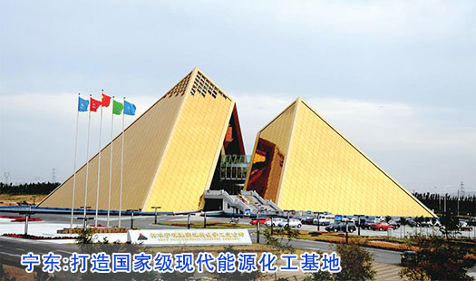 杨发明:将银川综保区提升为中阿自由贸易区