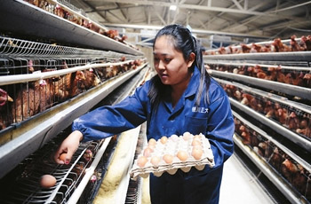 贺兰:小额贷款撑起妇女创业半边天