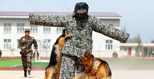 新华社签约摄影师图库_新华网宁夏频道