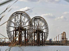 灵武市-新华网宁夏频道