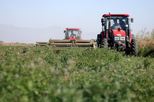 惠农区_新华网宁夏频道