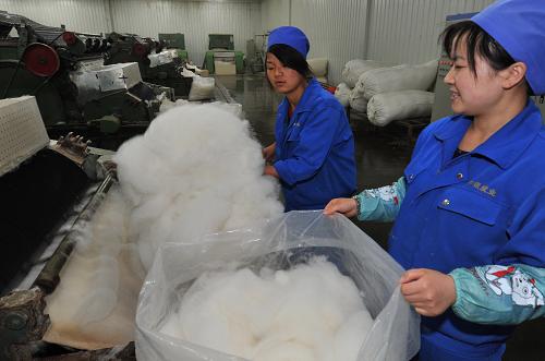 宁夏灵武市中银绒业股份有限公司 宁夏阿尔法