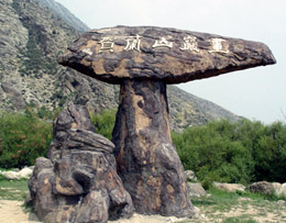 贺兰县_新华网宁夏频道