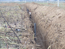 海原县-新华网宁夏频道
