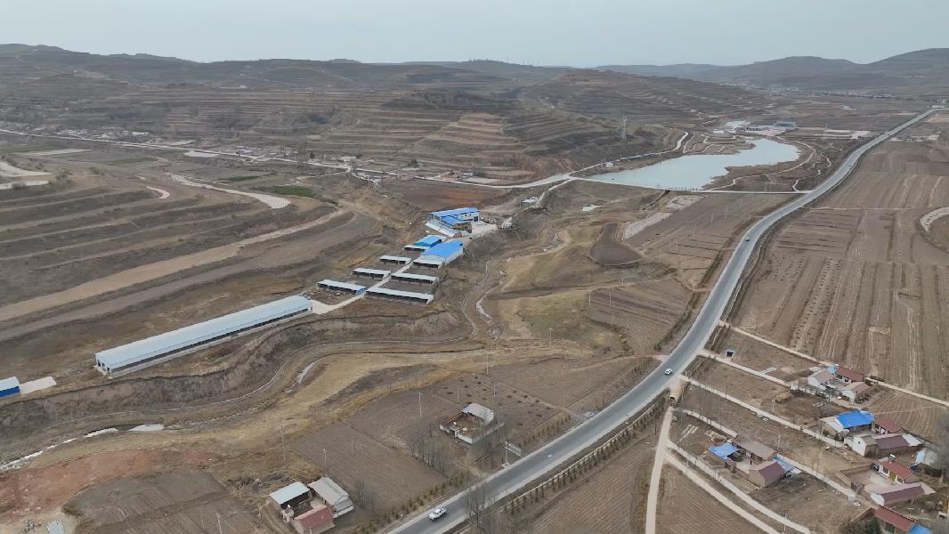 国网固原供电发挥电力引擎助乡村产业升级