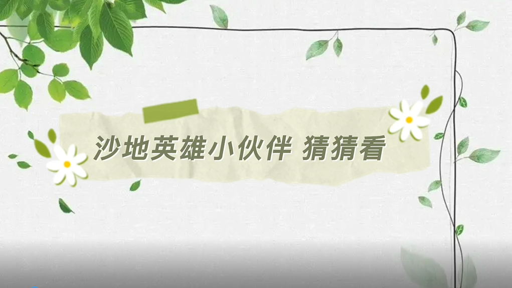 沙地英雄小伙伴猜猜看
