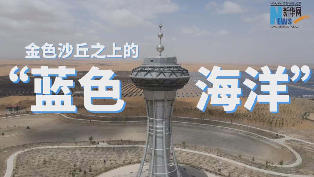 【点赞美丽新宁夏】金色沙丘上的“蓝色海洋”
