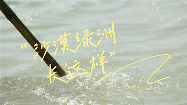 世界防治荒漠化与干旱日|沙漠绿洲长这样!