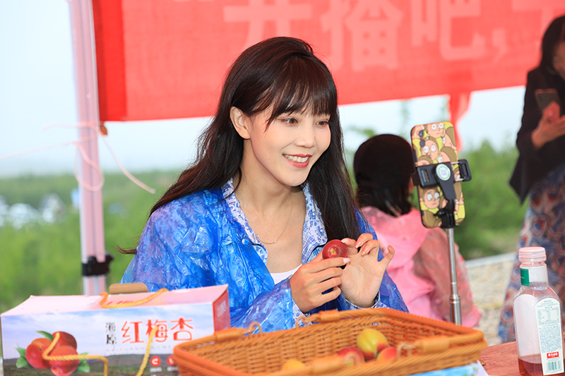 有“杏”相约 田拐红梅杏采摘节邀您乐享农家生活