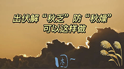 出伏解“秋乏”防“秋燥”这样做