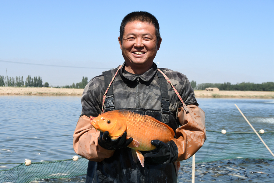鱼兴贺兰“跃”千里