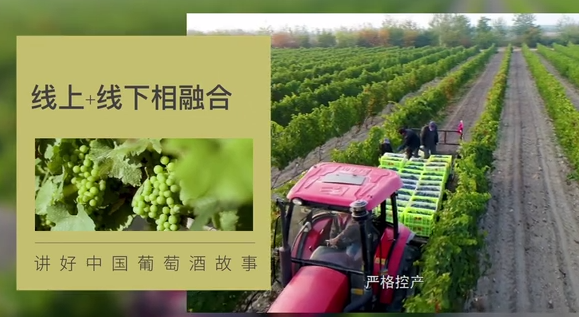 第二屆中國（寧夏）國際葡萄酒文化旅遊博覽會先睹為快