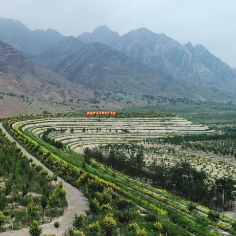 喜迎二十大丨宁夏：让塞上江南更美好