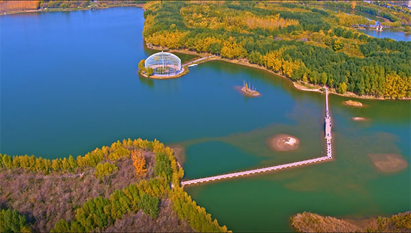 宁夏推进十大重点工程保护黄河生态环境