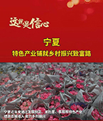 宁夏：特色产业铺就乡村振兴致富路